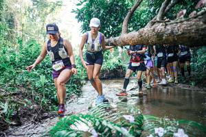 BIB: 
                            <button type="button" onclick="openModal(25466782)" class="btn btn-primary btn-sm float-right btn-popup" data-toggle="modal" data-target=".modal-high-quality">
                        <i class="fas fa-shopping-cart"></i> Add to Cart
                    </button>
                                            <button type="button" onclick="isThisMe(25466782, true)" class="btn btn-success btn-sm float-right btn-popup btn-isme hidden" data-toggle="tooltip" data-placement="bottom" title="นี่คือรูปของคุณใช่ไหม คลิกที่นี่เพื่อเอาเข้าอัลบั้ม">
                        <i class="fas fa-plus"></i> Add to album
                    </button>
                    <button type="button" onclick="isThisMe(25466782, false)" class="btn btn-warning btn-sm float-right btn-popup btn-isnotme hidden">
                        <i class="fas fa-ban"></i> Remove from album
                    </button>